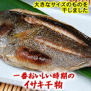 イサキ開き【冷凍】　1尾入×400-449g程度【浜坂産】（高級魚・いさき・干物）