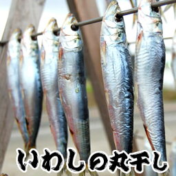 うるめいわし丸干し（冷凍）170g （鰯、イワシ）節分に