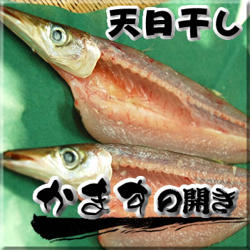 天日干し「カマス開き」【冷凍】大　1枚×約150-199g程度【浜坂産】(干物・かます)