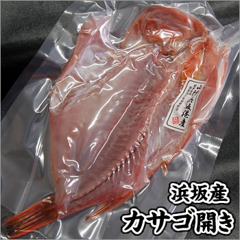 カサゴ開き【冷凍】ビッグサイズ　1枚　約800-850g程度【浜坂産】（かさご、ガシラ）