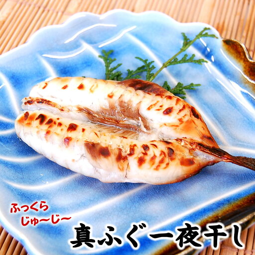 真フグ一夜干し肉厚【冷凍】大 3尾入(約600g前後)(兵庫県産)(河豚・ふぐ・干物・一夜干し) 真フグ一夜干し肉厚【冷凍】大 3尾入(約600g前後)(兵庫県産)(河豚・ふぐ・干物・一夜干し)