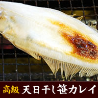 天日干し「笹カレイ」(冷凍)特大 1枚 約250-300g程度 【浜坂産】 (笹かれい・ささかれい・ササカレイ)