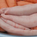 さわらの白子【冷凍】約250-300g【浜坂産】サワラ、鰆