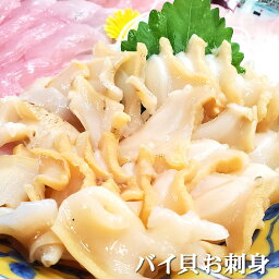 生・赤バイむき身（冷凍）約110-130g【浜坂産】生食可（バイ貝、はい、貝、エゾボラモドキ、刺身）