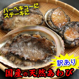 訳あり・天然あわび【冷凍】1個　約400-450g（山陰浜坂産）　ステーキに！バーベキューに！（アワビ、鮑）