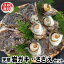 【送料無料】山陰の天然もの「岩がき・さざえ」詰合せ ≪生食可≫ 2セット以上のご注文でおまけ有♪ 父の日、お中元に!海鮮バーベキューに!(イワガキ、イワカキ、岩牡蠣、サザエ)サザエは砂抜き済みのものを出荷します