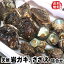 【送料無料】山陰の天然もの「岩がき・さざえ」詰合せ ≪生食可≫ 父の日、お中元に!バーベキューに!(イワガキ、イワカキ、岩牡蠣、サザエ)サザエは砂抜き済みのものを出荷します