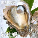 天然岩牡蠣(生)中大 4個 【山陰沖産】(かき、カキ、イワガキ、いわがき、イワカキ、いわかき、岩がき、岩ガキ)