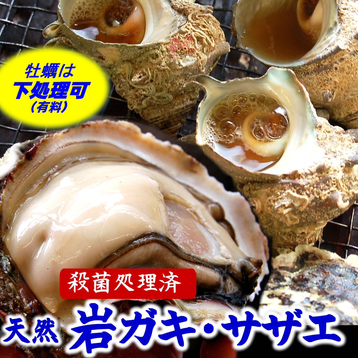 【送料無料】山陰の天然もの「岩が