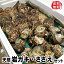 【送料無料】山陰の天然もの「岩がき・さざえ」詰合せ 各17個入 ≪生食可≫ お中元に!バーベキューに!(イワガキ、イワカキ、岩牡蠣、サザエ)サザエは砂抜き済みのものを出荷します