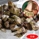 亀の手（カメノテ）【冷凍】中大サイズ　500g　【浜坂産】ペルセベス