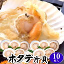 片貝ホタテ(冷凍)L 殻付き10枚入(冷凍)北海道産(ほたて、帆立、ハーフシェル、bbq 貝殻 )