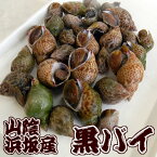 湯通し済・クロバイ(煮付け用)【冷凍】約500g【兵庫県浜坂産】くろばい・黒ばい・黒バイ