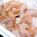 生・白バイむき身(冷凍)約100g(浜坂産)加熱用(越中バイ・エッチュウバイ・えっちゅうばい・しろばい・ばい貝・シロバイ )