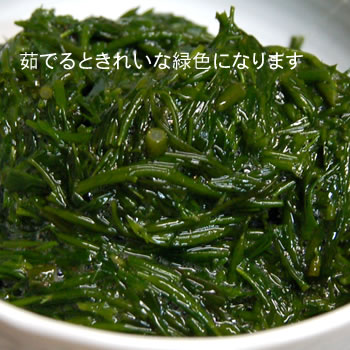 新物【送料無料】下処理済・アカモク（冷凍）約100g ×40袋　（山陰沖産）　注目のスーパーフード　味にこだわり上質なもののみ使用（ギバサ、ぎばさ、ぎばそ）