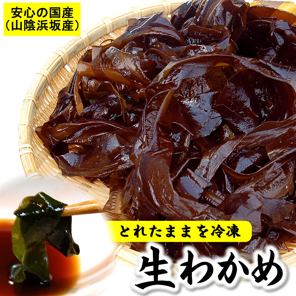 漁師の中村さんが育てた生わかめ（若布・ワカメ）【冷凍】　約150g 　【浜坂産（国産）】　柔らかくて美味しいわかめです（おさしみわかめ）