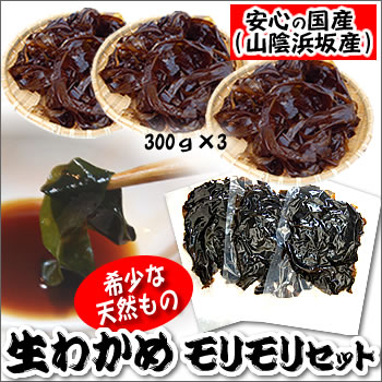 天然生わかめ【冷凍】　約300g×3P　【浜坂産（国産）】　天然わかめは市場に流通しているわかめの5〜7％程度　（若布・ワカメ）