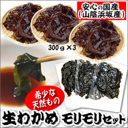 天然生わかめ【冷凍】　約300g×3P　【兵庫県浜坂産（国産）】　天然わかめは市場に流通しているわかめの5〜7％程度　（若布・ワカメ）