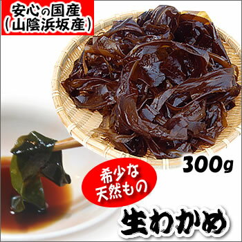 天然生わかめ（若布・ワカメ）【冷凍】　約300g 　【浜...