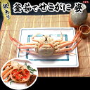 【送料無料】子持ちがに(訳あり)【ボイル・冷凍】小 5匹入 【浜坂産】【同梱不可】(親ガニ、親がに、せこがに、セコガニ、香箱蟹、こっぺがに、コッペガニ、松葉ガニ)