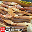 【送料無料】ずわいがに足【生・冷凍】 デカサイズ 5Lサイズ 約5kg前後入り (約11-12肩入り)【同梱不可】 ズワイガニ 足 冷凍 カニ カニ鍋 焼きガニ ズワイカニ 生ズワイガニ 生ズワイ蟹 冷凍ズワイガニ ズワイガニ脚 ズワイガニ通販 カニ通販 蟹通販