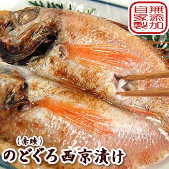 【送料無料】高級魚　のどぐろ西京漬け【冷凍】大サイズ　2枚入　【国産（山陰沖産）】ノドグロ・赤睦・ギフト（味噌漬,みそ漬け）ギフトに