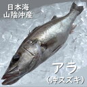 商品内容 兵庫県浜坂産　アラ/オキスズキ（生冷凍）　1尾　約550-600g（調理前の重さ）※下処理済（うろこ・内臓除去済） 賞味期限 解凍前：冷凍保存で1ヶ月、解凍後：冷蔵保存で2日 人数の目安 約2人前 お召し上がり方 下処理済ですので、流水で一気に解凍していただき、塩焼き、ムニエル、ポアレなどに。 　 配送方法 【業者】クロネコヤマト または　佐川急便 【冷凍商品とは同梱可】 　この商品は「冷蔵」の商品とは、品質保持のため、同梱できません。 　冷蔵の商品や同梱不可商品もご購入の場合は、複数の個口での 　発送となりますので、ご了承ください。　