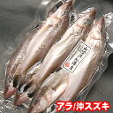 アラ（下処理済・冷凍）　小　6-7尾入りで約500g（調理後の重さ）　【浜坂産】　※ウロコ・内臓除去済　（あら・オキスズキ）