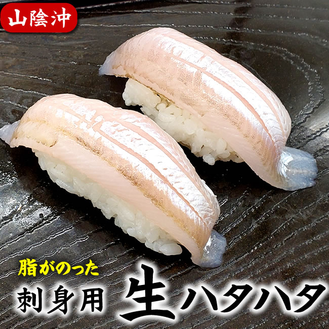 お刺身用　生とろハタハタ　スキンレスフィレ（冷凍）約60g入（山陰浜坂産）不漁につき希少品　脂がの..