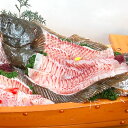 刺身用 旬・天然ヒラメの柵(冷凍)120-139g エンガワ付(山陰浜坂産)美味しい時期の平目を刺身用に捌きました。解凍して切るだけでお刺身が食べられます(さしみ、ひらめ、冊、えんがわ)