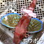 方々 ほうぼうの画像