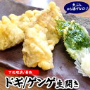 ドギ（トーロ・ゲンゲ）生開き（冷凍）約300g（4尾前後）下処理済　天ぷら、揚げだしなどに