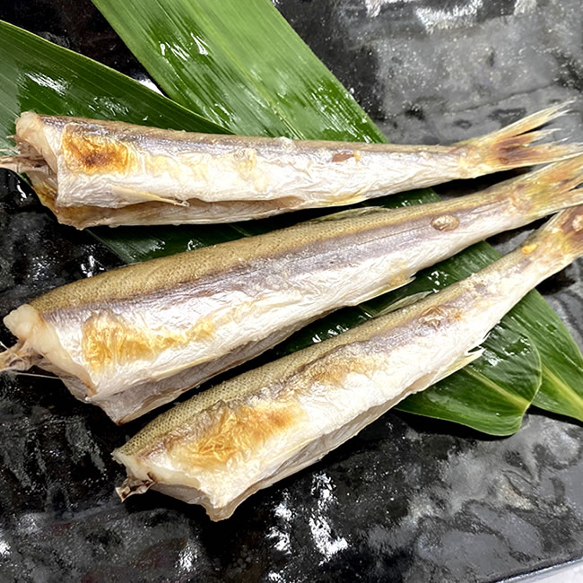 下処理済み・カマス（冷凍）小サイズ　200-230g（7-9尾入り）（浜坂産）塩焼きすると酒の肴になります..