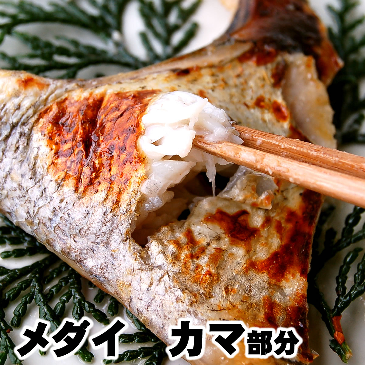 (䡦ޥ̡̣ޤƬĺʥˡ500gڻۤ