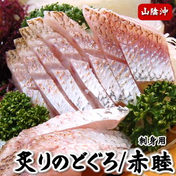 山陰のお刺身用　炙りのどぐろ（冷凍）片身（55-65g）【山陰沖産】【高品質3D凍結】脂がのった大きなノドグロを捌きました。解凍して切るだけ（ノドグロ、赤睦、さしみ、おさしみ、手巻き寿司）父の日に