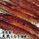 自家製!天然うなぎ蒲焼き(冷凍)特大 1匹 340g以上【兵庫県産】タレ付 希少めったにない大きさ(鰻、ウナギ、かばやき)