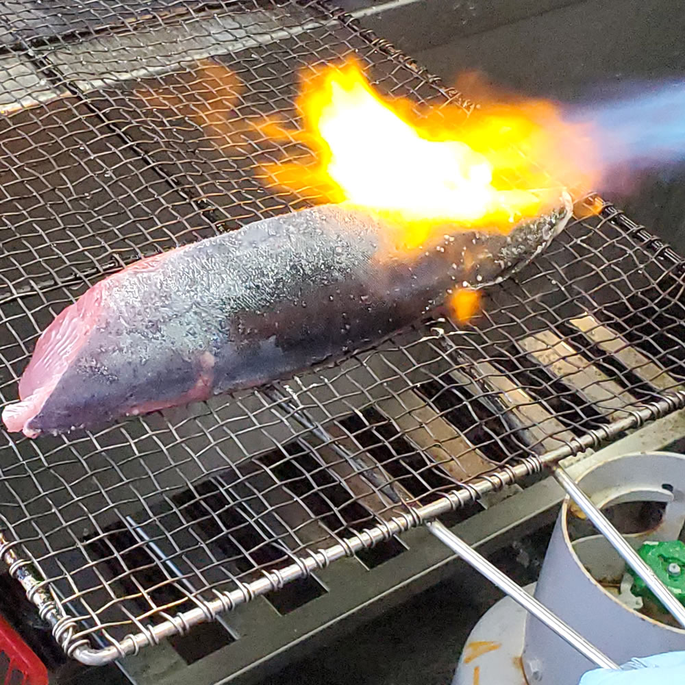 刺身用　炙りヨコワたたき（本マグロの子）（冷凍）原体2キロ台の片身分（540-590g）（兵庫浜坂産）よこわ・まぐろ・鮪・刺身・よこわ・炙り・フィレ