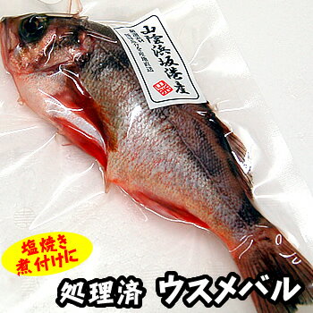 商品内容 浜坂産　うすめばる（生冷凍・調理済み）1尾　約24-26cm※ウロコと内臓除去済み 賞味期限 解凍前：冷凍保存で1ヶ月、解凍後：冷蔵保存で2日 人数の目安 約1人前 お召し上がり方 解凍後、煮付け、塩焼き、蒸し物、から揚げ　他 配送方法 【業者】クロネコヤマト または　佐川急便 【冷凍商品とは同梱可】 　この商品は「冷蔵」の商品とは、品質保持のため、同梱できません。　冷蔵の商品や同梱不可商品もご購入の場合は、複数の個口での　発送となりますので、ご了承ください。※この商品は、下処理（ウロコと内臓を除去）後、急速冷凍してあります。