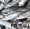 豆アジ（生冷凍）約200g（小鯵・真アジ・真あじ・アジ・あじ・マアジ・釣り餌、エサ、えさ、南蛮漬け）