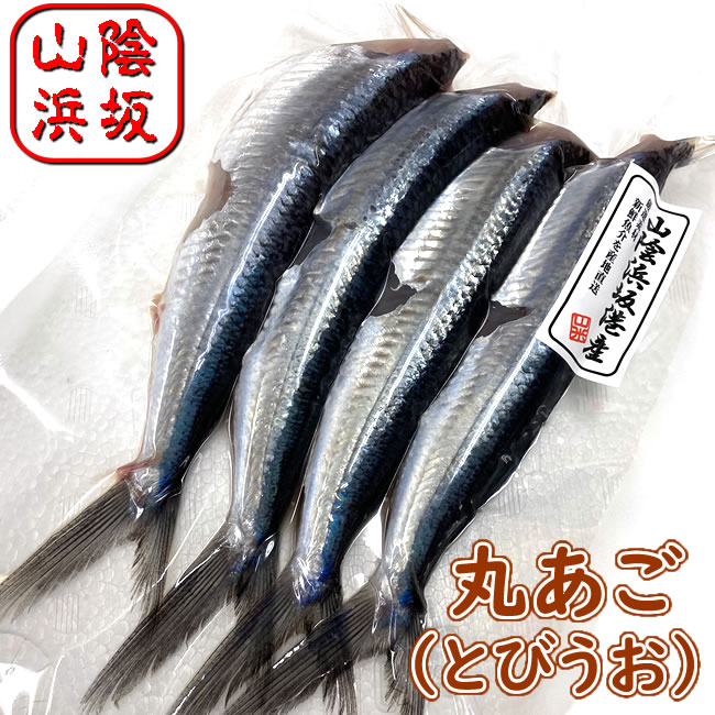 丸あご（とびうお）[生冷凍・調理済み・無頭]　4尾入　【浜坂産】（丸アゴ、飛び魚、飛魚）