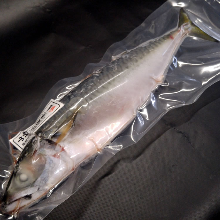 真サバ(下処理済・冷凍)大 1尾 約1.0-1.2kg(調理前重さ) 【浜坂産】