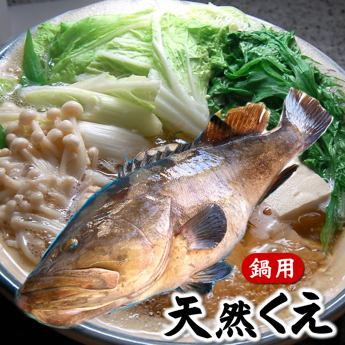 幻の高級魚　天然本クエ鍋セット（冷凍）たっぷり1.2kg...