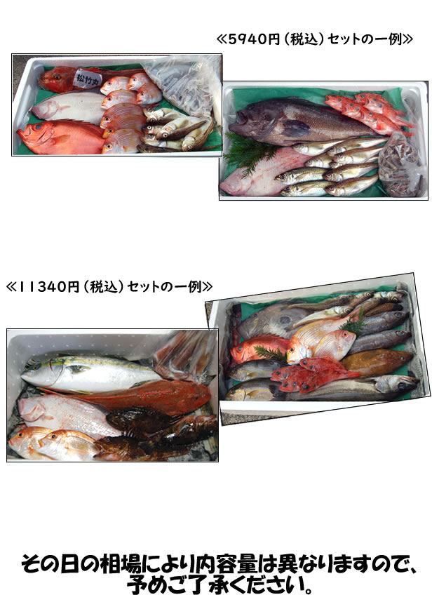 【送料無料】山陰直送「朝とれおまかせ鮮魚・魚介11340円（税込）詰合せセット」（丸のまま・下処理なし）（詰め合わせ、鮮魚ボックス、魚介セット）