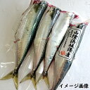 小サバ（頭落とし・下処理済・冷凍）　3-4尾で約200g入　【山陰沖産】