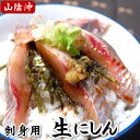 お刺身用ニシン スキンレスフィレ(冷凍) 特大サイズ(140-159g程度) 1尾分 (山陰浜坂産)(にしん、鰊)
