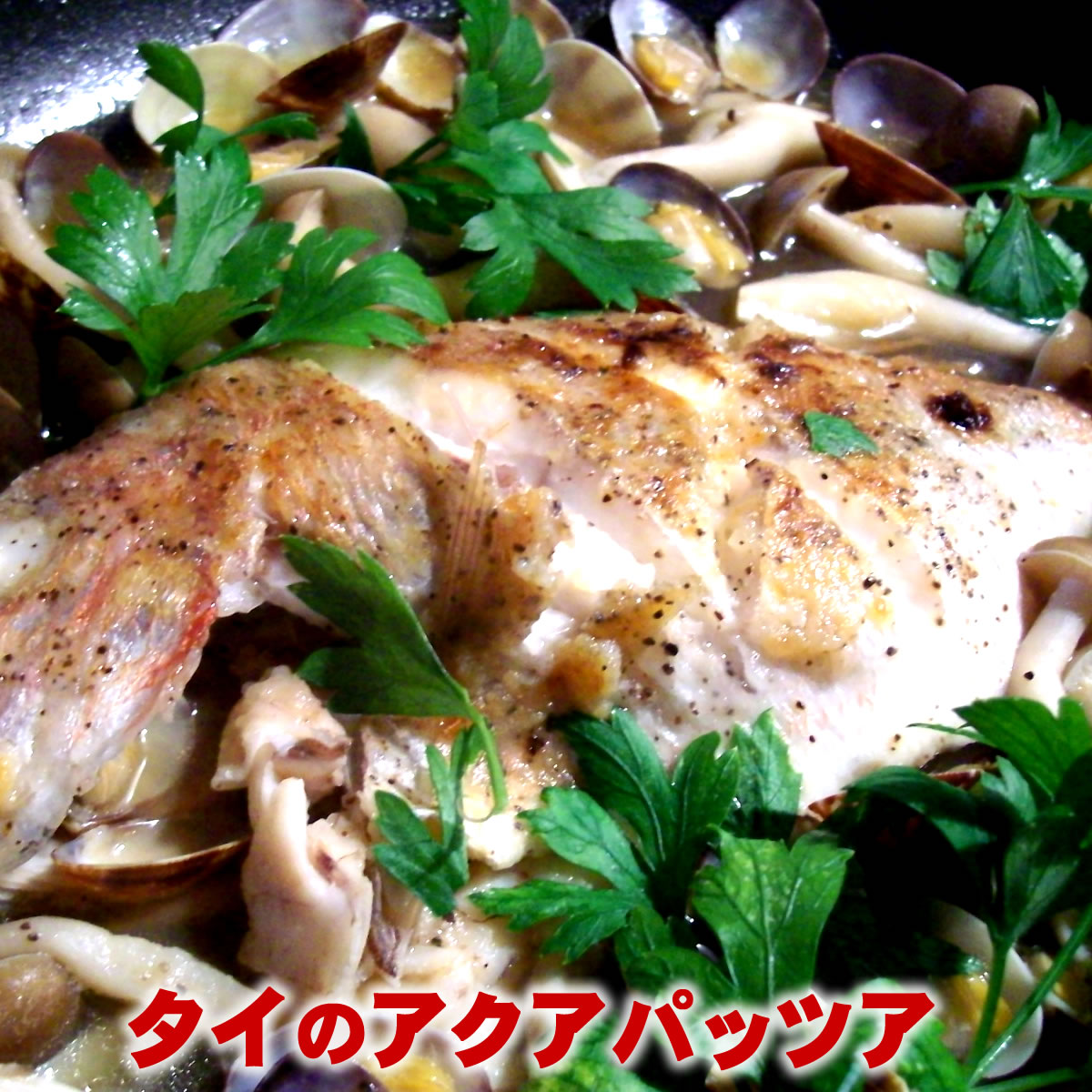 天然・真鯛（下処理済み・冷凍）　1尾　約38-40cm　　【浜坂産】（たい・タイ）