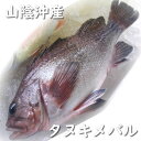 商品内容 兵庫県浜坂産　タヌキメバル（生冷凍・調理済み）　1尾　約34-36cm※調理前原体重さ目安：約1kg前後 賞味期限 解凍前：冷凍保存で1ヶ月、解凍後：冷蔵保存で2日 人数の目安 約4人前 お召し上がり方 解凍後、煮付け、塩焼き、蒸し物、椀物、鍋　他 配送方法 【業者】クロネコヤマト または　佐川急便 【冷凍商品とは同梱可】 　この商品は「冷蔵」の商品とは、品質保持のため、同梱できません。　冷蔵の商品や同梱不可商品もご購入の場合は、複数の個口での　発送となりますので、ご了承ください。