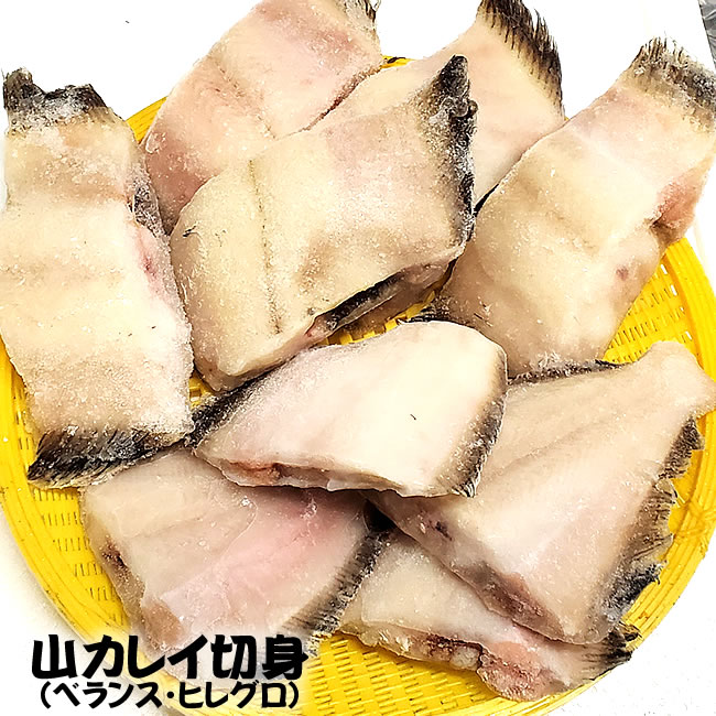 送料無料　山カレイ切身（冷凍）約800g（山陰浜坂産）煮ても