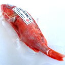 夢カサゴ（下処理済・冷凍）　1尾　約100-130g（調理後の重さ）　【浜坂産】　（夢かさご、ユメカサゴ・ゆめかさご）