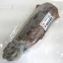 アオリイカ(冷凍) 特大 約1.0-1.2kg前後 1杯入(胴長さ:約27-30cm程度)【浜坂産】(あおりいか・水いか・水イカ・もいか・モイカ・烏賊・高級)